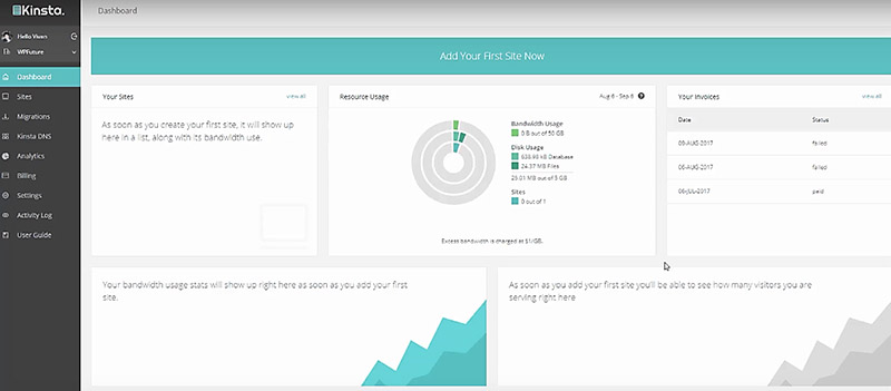 kinsta interface