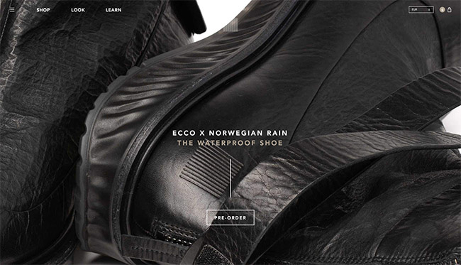 shopify store - norvegian rain